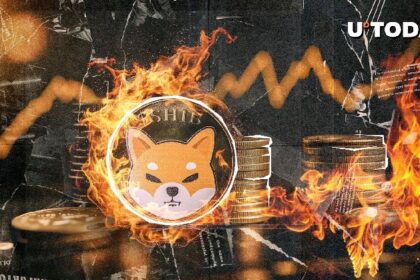 Massive 1,338,380,740 SHIB Gets Burned, Here's What's Happening