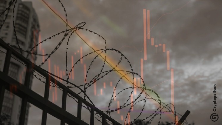 Founder of the defunct AEX exchange released on bail in Thailand