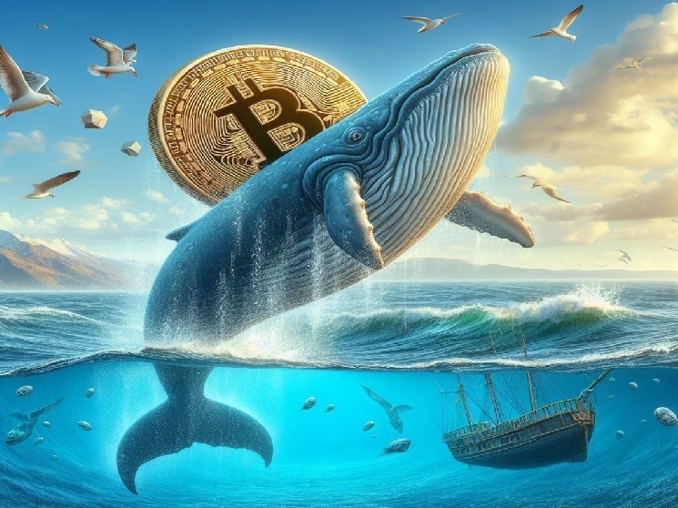 Huge BTC Whale That Panicked Over Yesterday’s FUD on Bitcoin Made Massive Trades Today