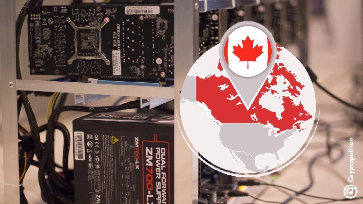 Canadian elementary school drags crypto miner to court over noise that 'never stops'