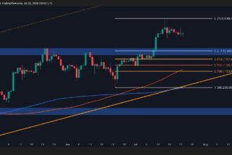 Key Factors Point to a BTC Correction Ahead
