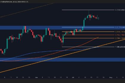 Key Factors Point to a BTC Correction Ahead