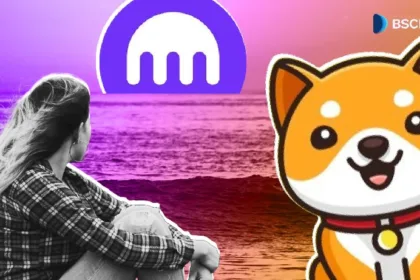 Is BABYDOGE About to List on Kraken Exchange?