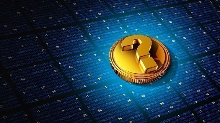 New York Stock Exchange-listed Giant Company Announces Buying a Large Amount of This Binance-Listed Altcoin