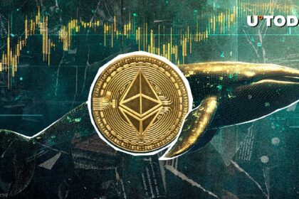 $374 Million in ETH Moved in Mere Hours, What Are Whales Up To?