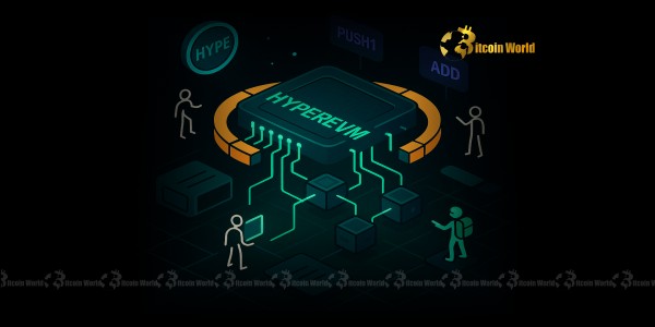 A Breakthrough for Blockchain Exploration