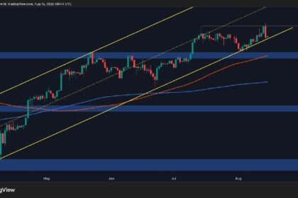 Classic Bull Trap Emerges After BTC’s Record High
