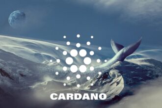 cardano ada whale