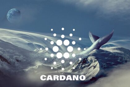 cardano ada whale