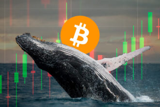 Binance is becoming the "ocean" of Bitcoin whales