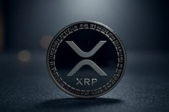 5 Keys on the state of the XRP network in 2025 5 keys on the state of the XRP network in 2025