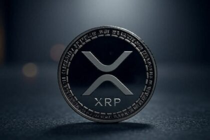 5 Keys on the state of the XRP network in 2025 5 keys on the state of the XRP network in 2025