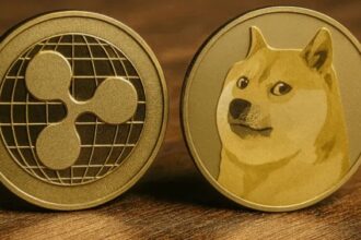 How did I go to XRP and Doge on their first day in the United States Stock Exchange?