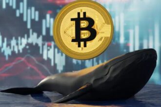 140,000 Bitcoin sold whales in the last month