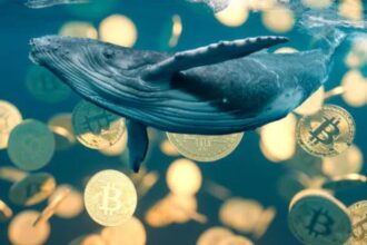 Bitcoin suffers the greatest liquidation of whales since 2022