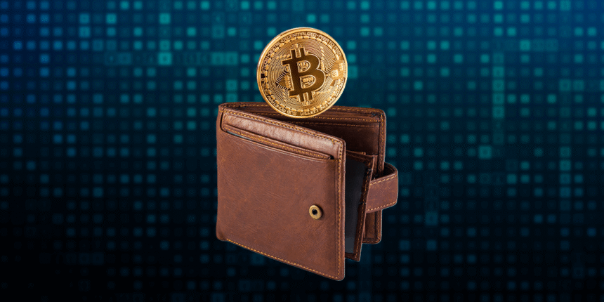 This application makes any phone a Bitcoin Wallet hardware