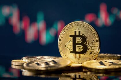 Bitcoin is having a millionaire profits with this rise