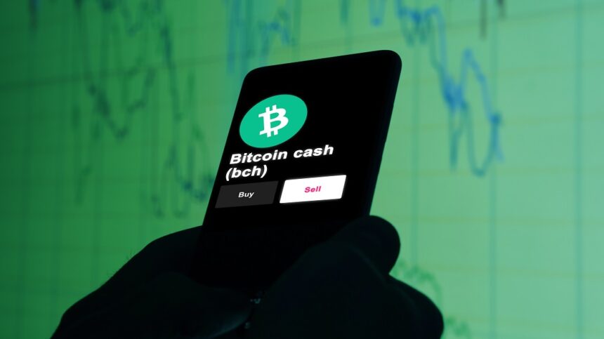 The price of bitcoin cash rises, what is happening with this cryptocurrency?