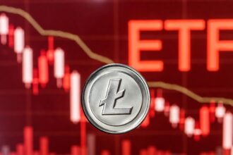Litecoin is disappointing on Wall Street and teaches us a lesson