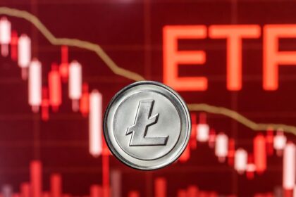 Litecoin is disappointing on Wall Street and teaches us a lesson