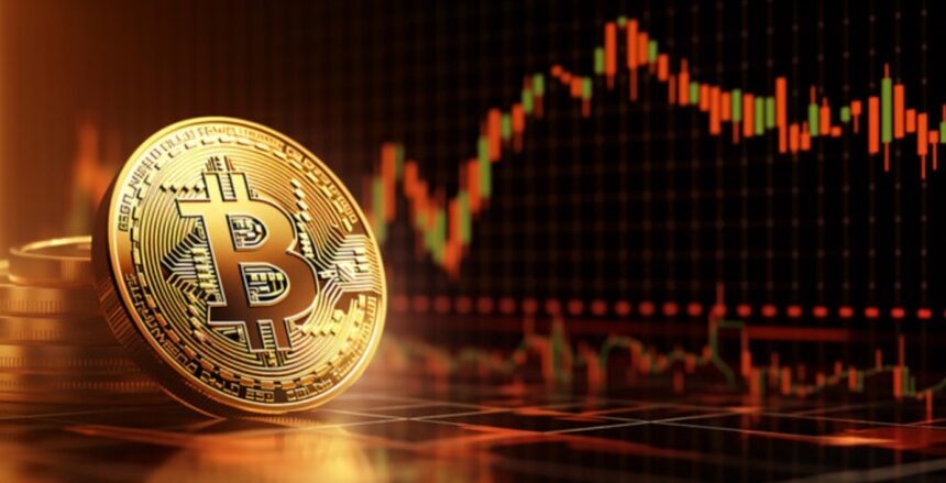 What are the next supports for bitcoin if it continues to fall?