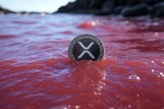 What will be the next supports for XRP price if the decline continues?