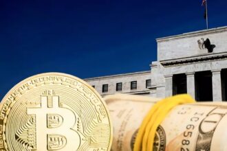 Analyst Predicts XRP Will Print the Biggest Green Candle in History