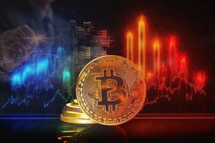 What do bitcoin investors do in the face of mixed signals?