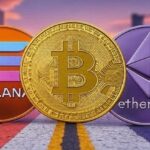 What price will bitcoin, ether and solana have in 1 year? Bitwise reveals survey results
