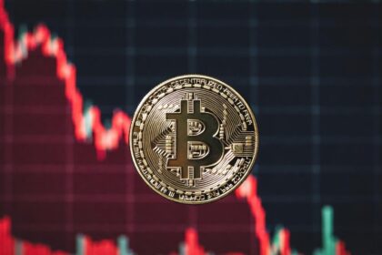 "The bitcoin market has not finished suffering yet": Joao Wedson