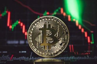 Bitcoin on the rise due to the largest inflow of money in 3 weeks