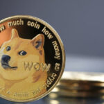 Dogecoin, the cryptocurrency that went from rage to oblivion