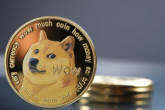 Dogecoin, the cryptocurrency that went from rage to oblivion
