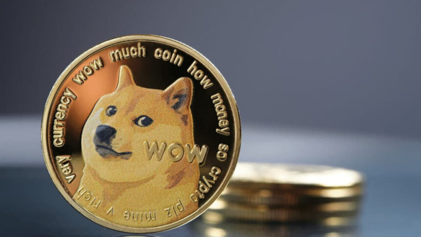 Dogecoin, the cryptocurrency that went from rage to oblivion