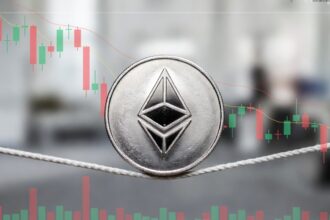 network activity grows