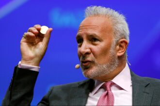Peter Schiff questions new mortgages with bitcoin and USDC, “increases risk”