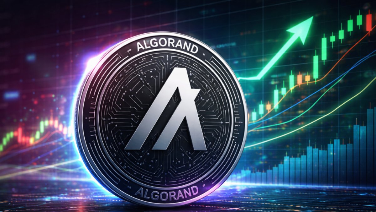 Algorand rises 40% after recognition by Google for its resistance to quantum