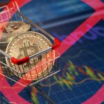 Central Bank of Brazil bans bitcoin and cryptocurrencies in cross-border payments