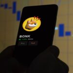 Bonk attracted investments from BlackRock, Morgan Stanley and other financial giants