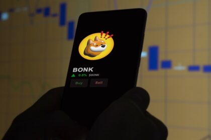 Bonk attracted investments from BlackRock, Morgan Stanley and other financial giants