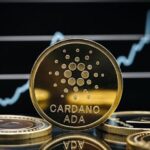 Cardano whales reach 25 billion ADA for the first time