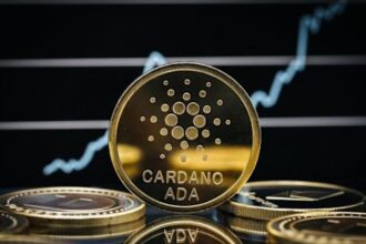 Cardano whales reach 25 billion ADA for the first time