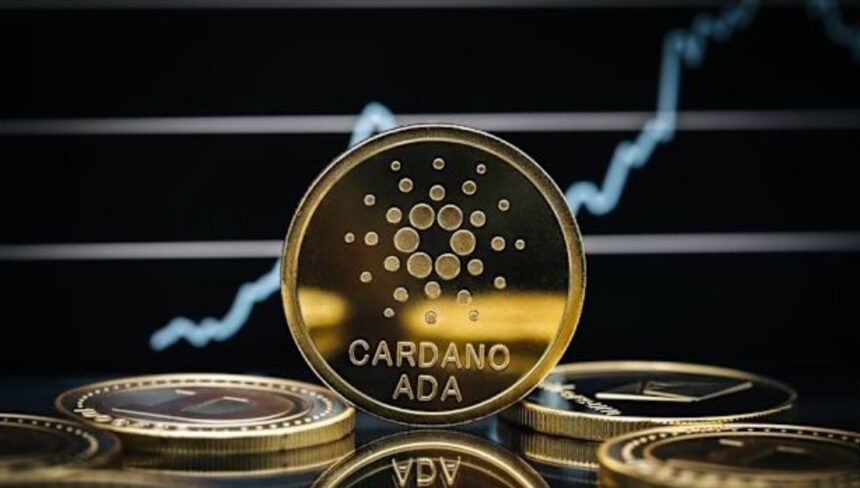 Cardano whales reach 25 billion ADA for the first time