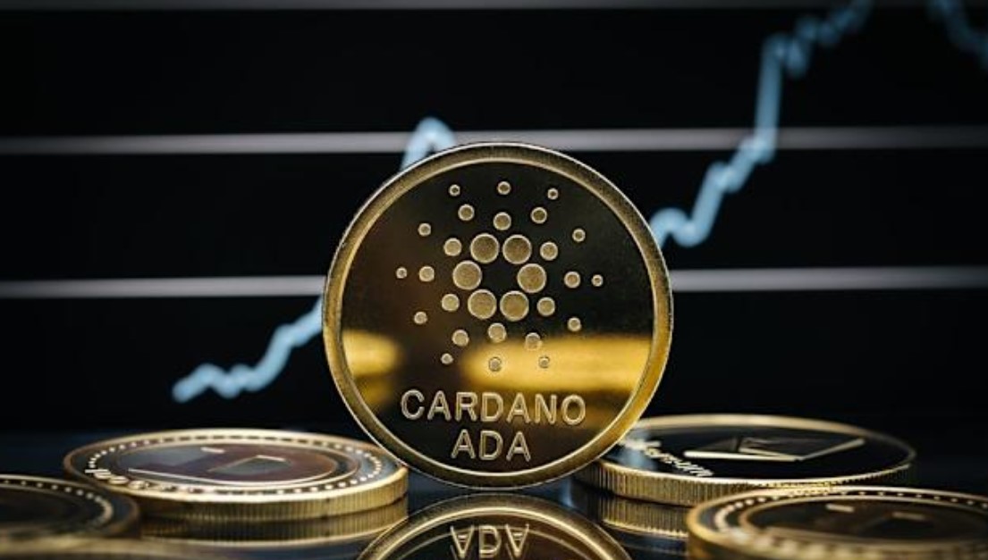 Cardano whales reach 25 billion ADA for the first time