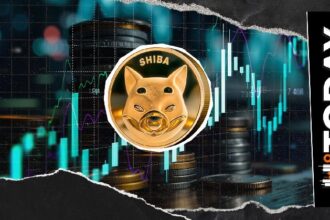 Shiba Inu Eyes Key Support Threshold
