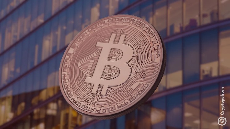 Strive and Strategy shares rally as bitcoin climbs to $84,807
