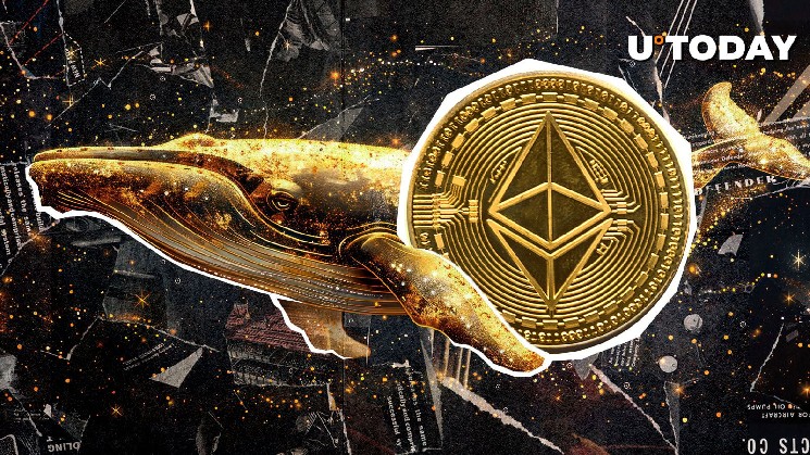 Massive Ethereum Whale Exits With $24.5 Million Profit