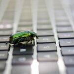 XRP Ledger patched decade-old bug that could create billions of dollars in XRP from nothing