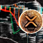 XRP Whale Dominance Drops 27% in Just 8 Days