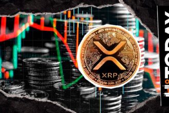 XRP Whale Dominance Drops 27% in Just 8 Days